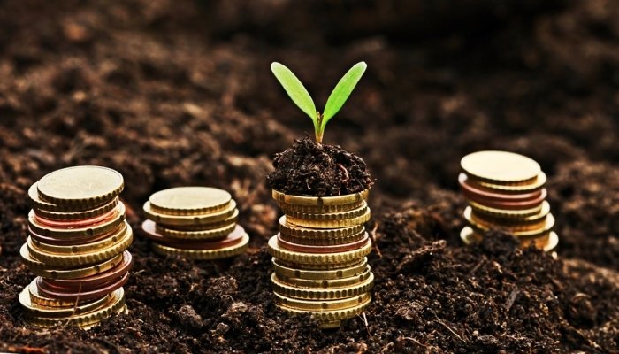 money growing in earth